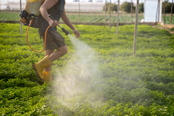Best Pest Prevention Services  in Ste Genevieve, MO