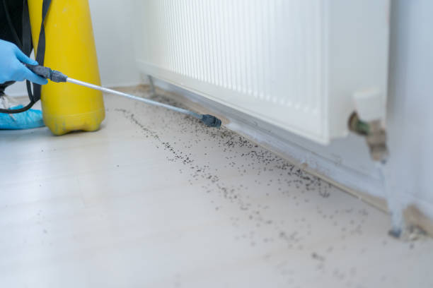 Best Best Pest Control Companies  in Ste Genevieve, MO